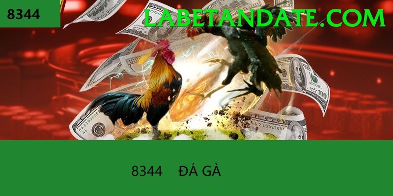 Đá Gà Trực Tiếp - 456bet