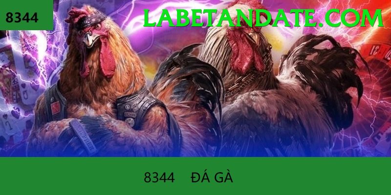 Đá Gà Trực Tiếp - Ưu đãi đặc biệt