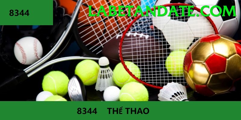 Cá Cược Thể Thao - 456bet